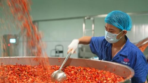 遵義 以“芯片”思維選好辣椒 助推食品產業騰飛